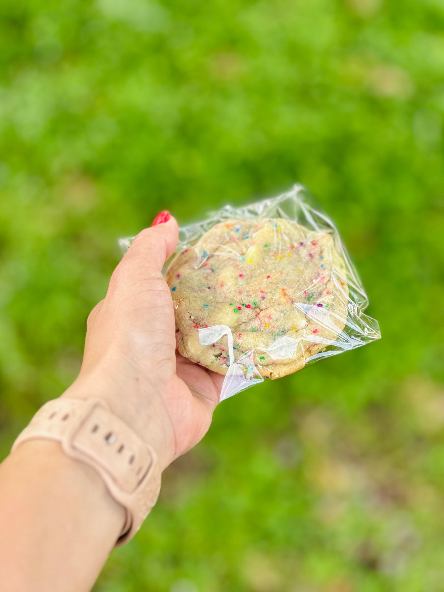 Funfetti Cake Batter Cookie